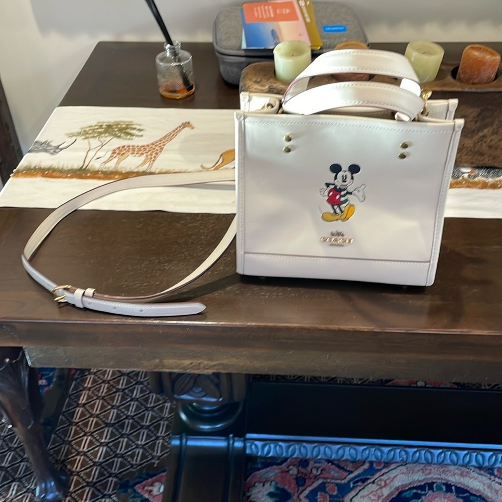 BNWT “Coach Disney Leather Bag